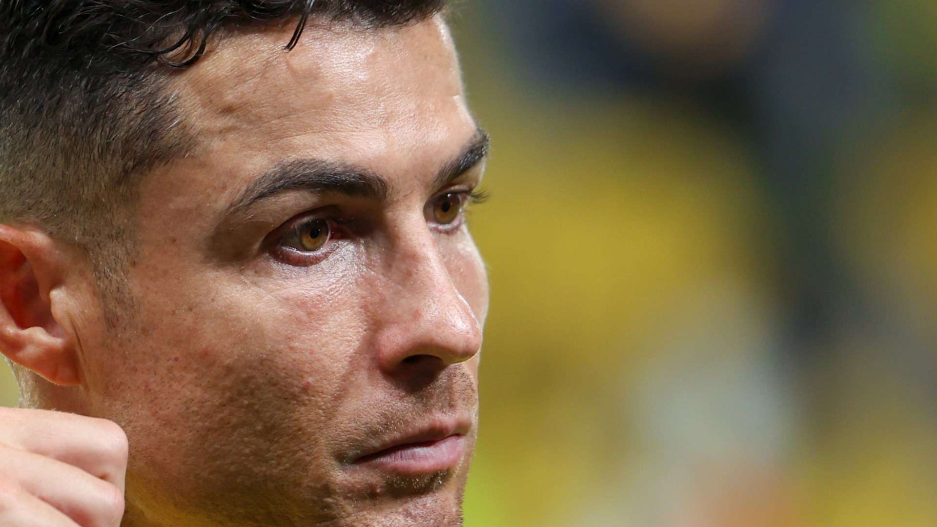 这一政策不 这一政策不