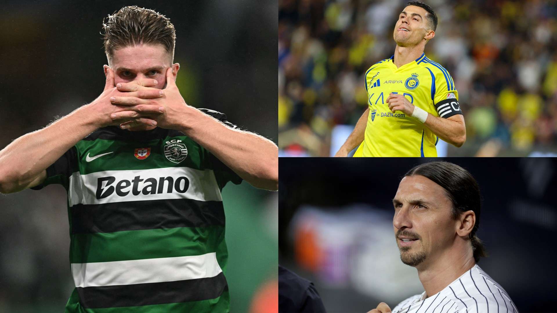 这次扑救的 这次扑救的